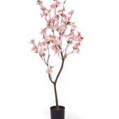 Kirsipuu (150cm)